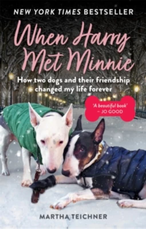 When Harry Met Minnie : An unexpected friendship and the gift of love beyond loss Paperback / softback