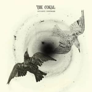 Distance Inbetween by The Coral CD Album
