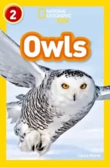 Owls : Level 2