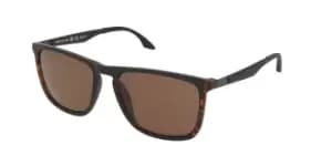 O'Neill Sunglasses ONS ENSENADA2.0 102P