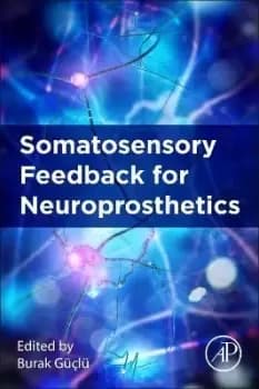 Somatosensory Feedback for Neuroprosthetics by Burak Guclu