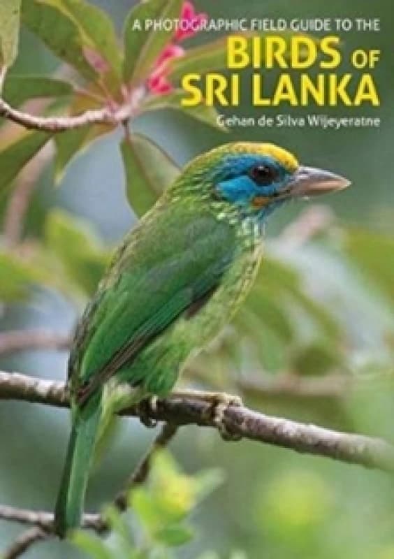 The Birds of Sri Lanka : A Photographic Field Guide (2nd edition) Paperback / softback