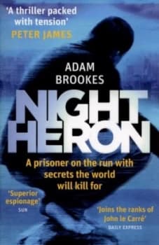 Night Heron by Adam Brookes Paperback