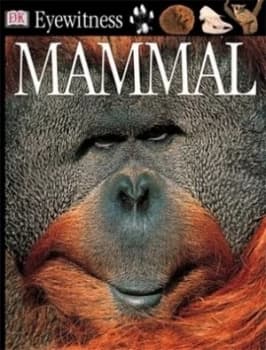 Mammal by Steve Parker and England Natural History Museum Paperback