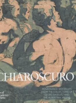 Chiaroscuro by Achim Gnann Hardback