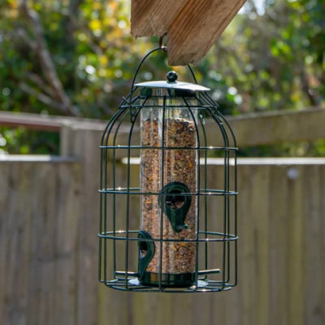 Samuel Alexander SA Hanging Bird Seed Feeder with Squirrel Guard Green