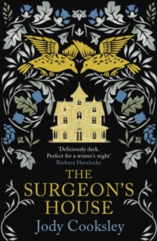 The Surgeon's House. Paperback. By Jody Cooksley Books