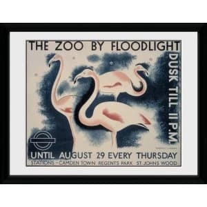 Transport For London The Zoo By Floodlight 12" x 16" Framed Collector Print