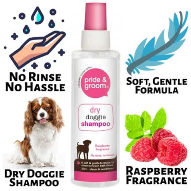 Pet Pride Dry Doggie Shampoo Pride & Groom Raspberry Scented Dog Cleans & Conditions, 200Ml