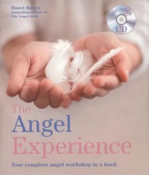 The Angel Experience by Hazel Raven Book