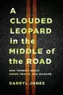 clouded leopard in the middle of the road new thinking about roads people