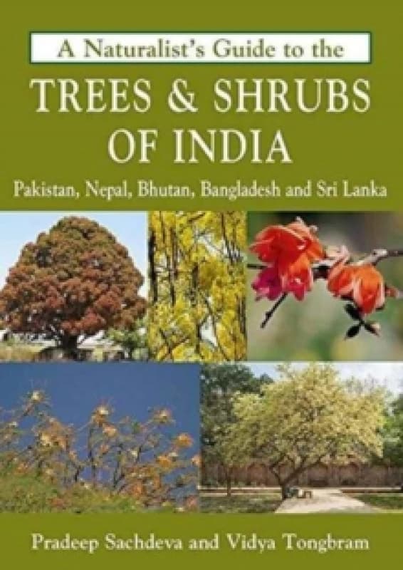 Naturalist's Guide to the Trees & Shrubs of India Paperback / softback