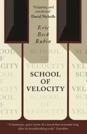 School of velocity by Eric Beck Rubin