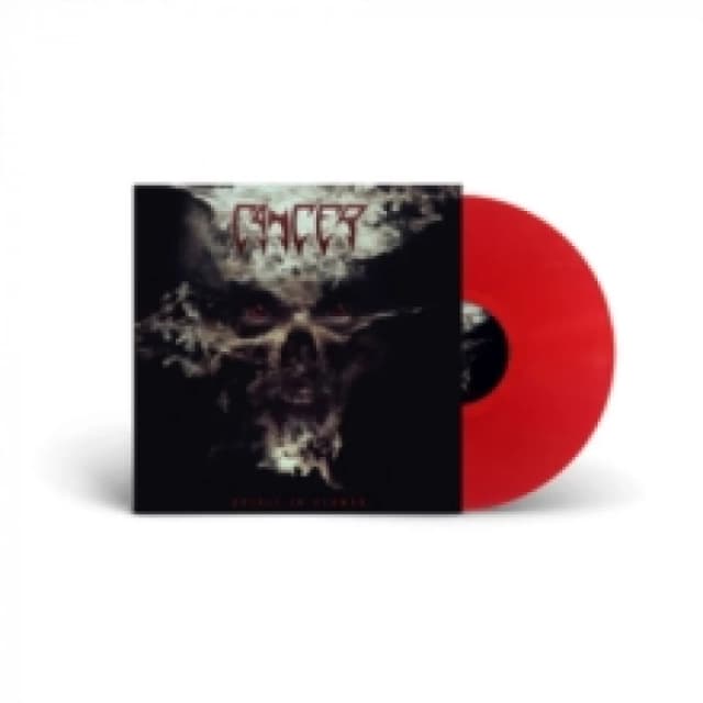 Spirit in flames Vinyl