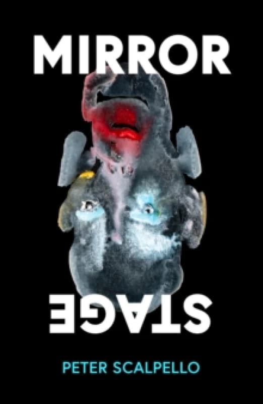 Mirrorstage Paperback / softback