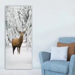 DKY4578006179_50120 Multicolor Decorative Canvas Painting