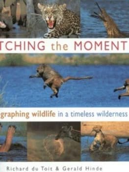 Catching the Moment Paperback