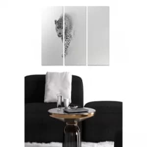 MDF787648486 Multicolor Decorative MDF Painting (3 Pieces)