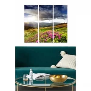 MDF89062828 Multicolor Decorative MDF Painting (3 Pieces)