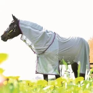 Amigo Bug Buster with Vamoose - Silver/Purp/Mnt