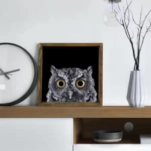 MZM690 Multicolor Decorative Framed MDF Painting