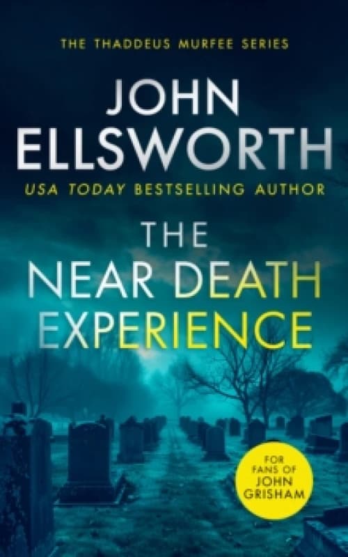 The Near Death Experience. Paperback. By John Ellsworth Books