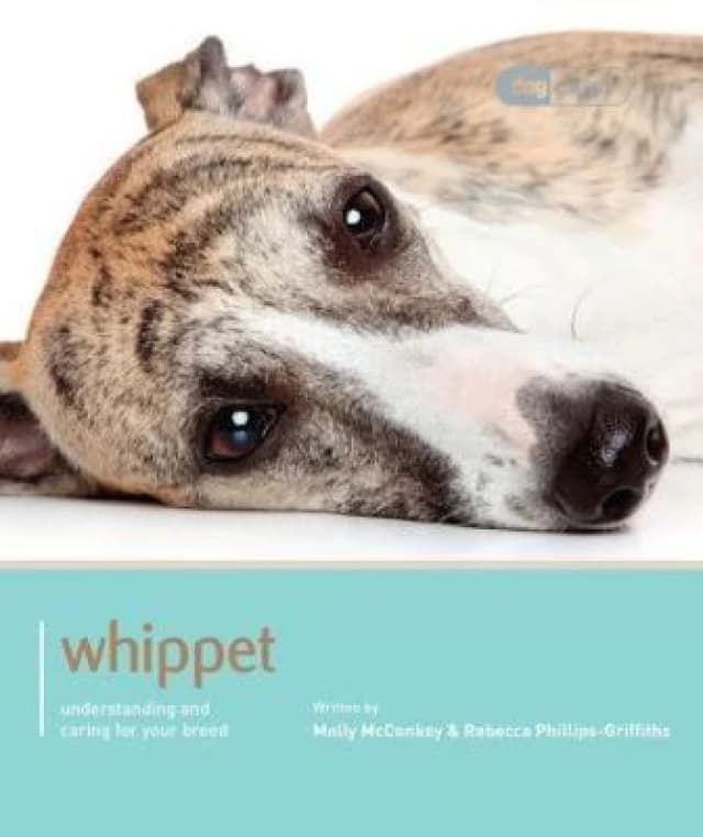 Whippet by Molly Mcconkey Book