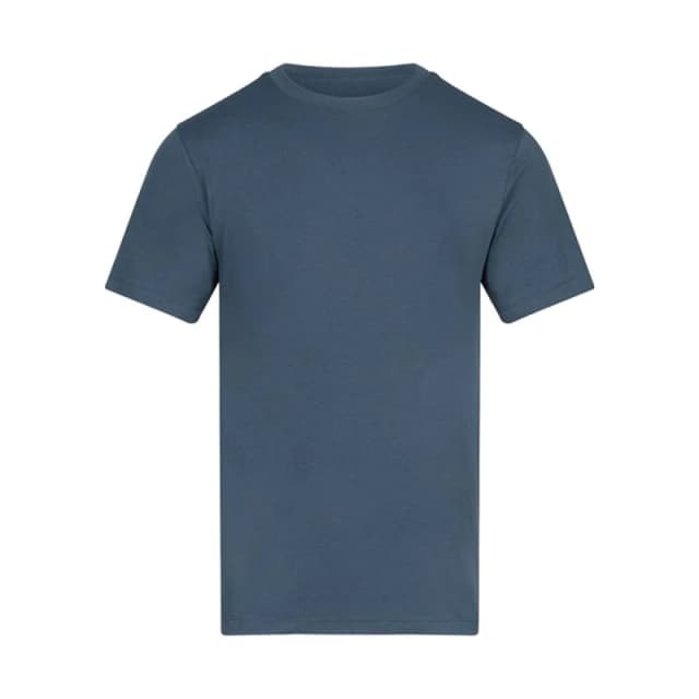 Awdis 180 mens T shirt in Blue