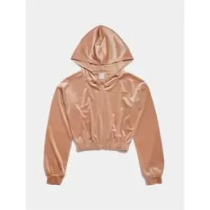 Skinny Dip Velvet Crop Hoodie - Brown