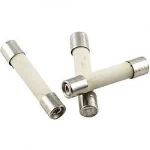 Micro fuse x L 5mm x 25mm 1.6 A 250 V quick response F