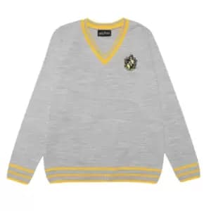 Harry Potter Mens Hufflepuff House Knitted Jumper (3XL) (Grey)