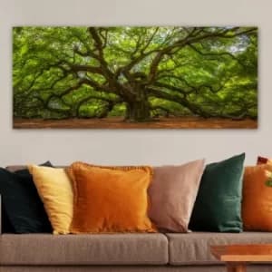 YTY553671223_50120 Multicolor Decorative Canvas Painting