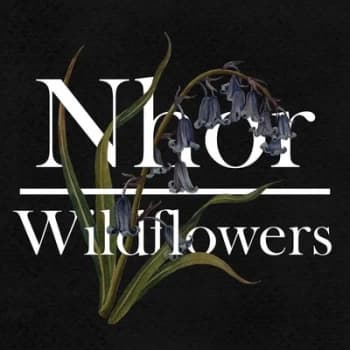 Nhor - Wildflowers Vinyl