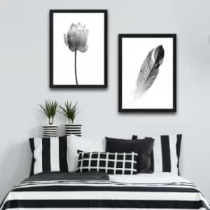 Flower Feather Set Multicolor Decorative Framed Painting (2 Pieces)