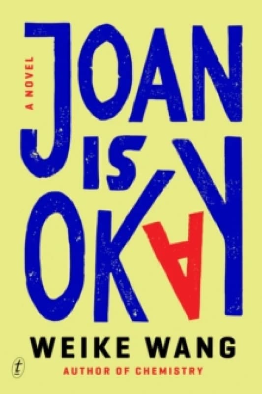 Joan Is Okay Paperback / softback