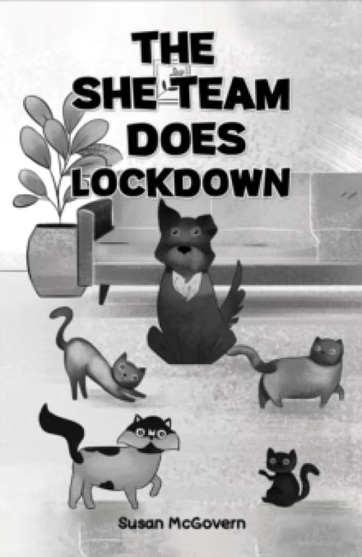 The She Team Does Lockdown. Paperback. By Susan McGovern Books