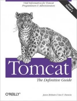 Tomcat by Jason Brittain Paperback