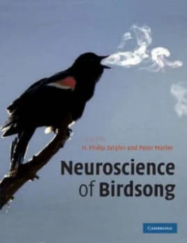 Neuroscience of Birdsong by H. Philip Zeigler Paperback