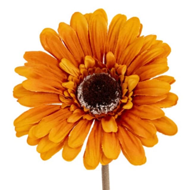 Hill Interiors Soft Gerbera Gerbera Artificial Flower Yellow (One Size)