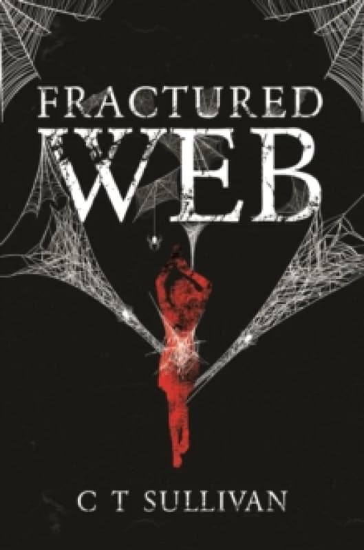 Fractured Web Paperback / softback