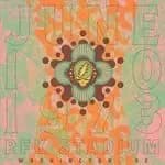 Grateful Dead - RFK Stadium, Washington, DC 6/10/73 (4CD Boxset)