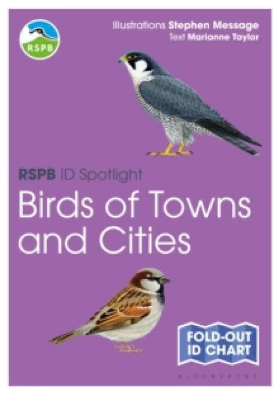 RSPB ID Spotlight - Birds of Towns and Cities Fold-out book or chart