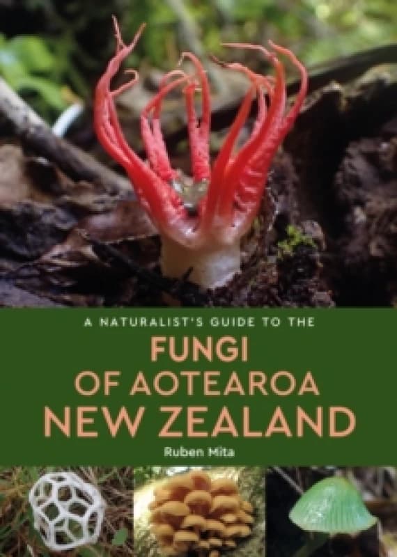 A Naturalist's Guide to the Fungi of Aotearoa New Zealand Paperback / softback