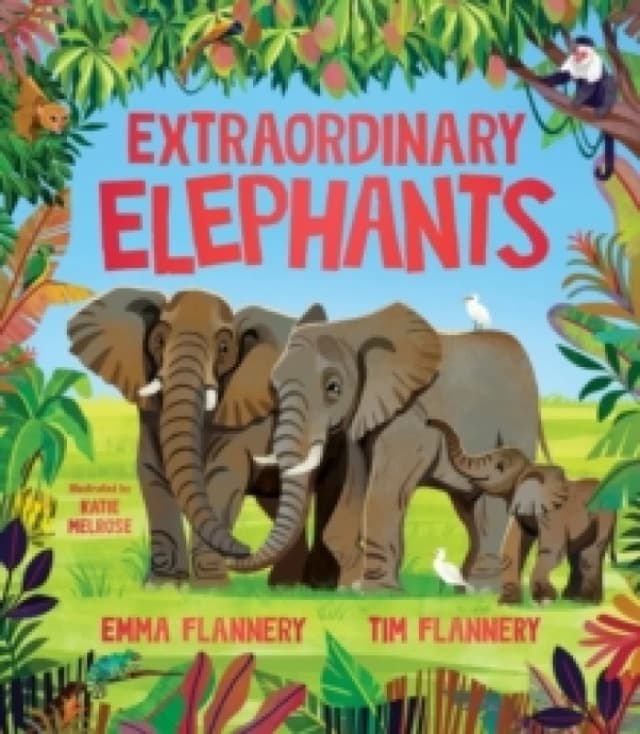 Extraordinary Elephants Hardback