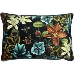 Evans Lichfield - Midnight Garden Aquilegia Piped Edge Cushion Cover, Teal, 40 x 60 Cm