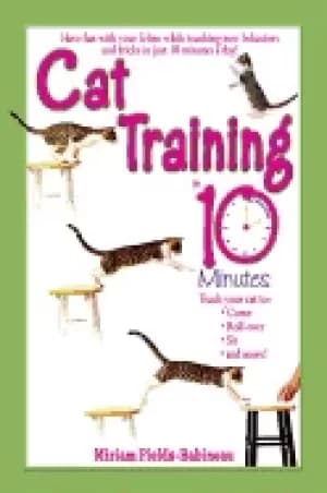 cat training in 10 minutes