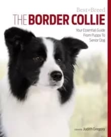 Border Collie Best of Breed