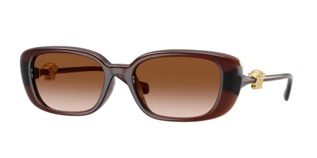 Versace Woman Versace VE4504D 533213 Sunglasses Injected Brown Brown Pillow Normal Nuanced Brown Sunglasses Woman Injected