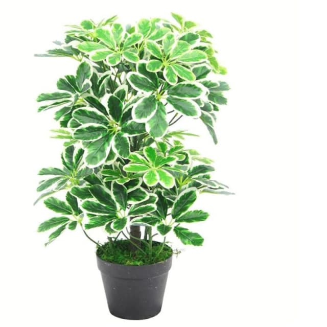 Leaf 55cm Variegated Artificial Schefflera Arboricola Plant Green