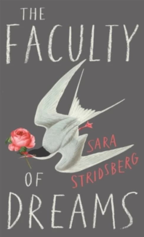 The Faculty of Dreams. Paperback. By Sara Stridsberg Books